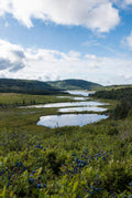 The Other Cape Breton: Secrets of Richmond County and the Framboise Coast