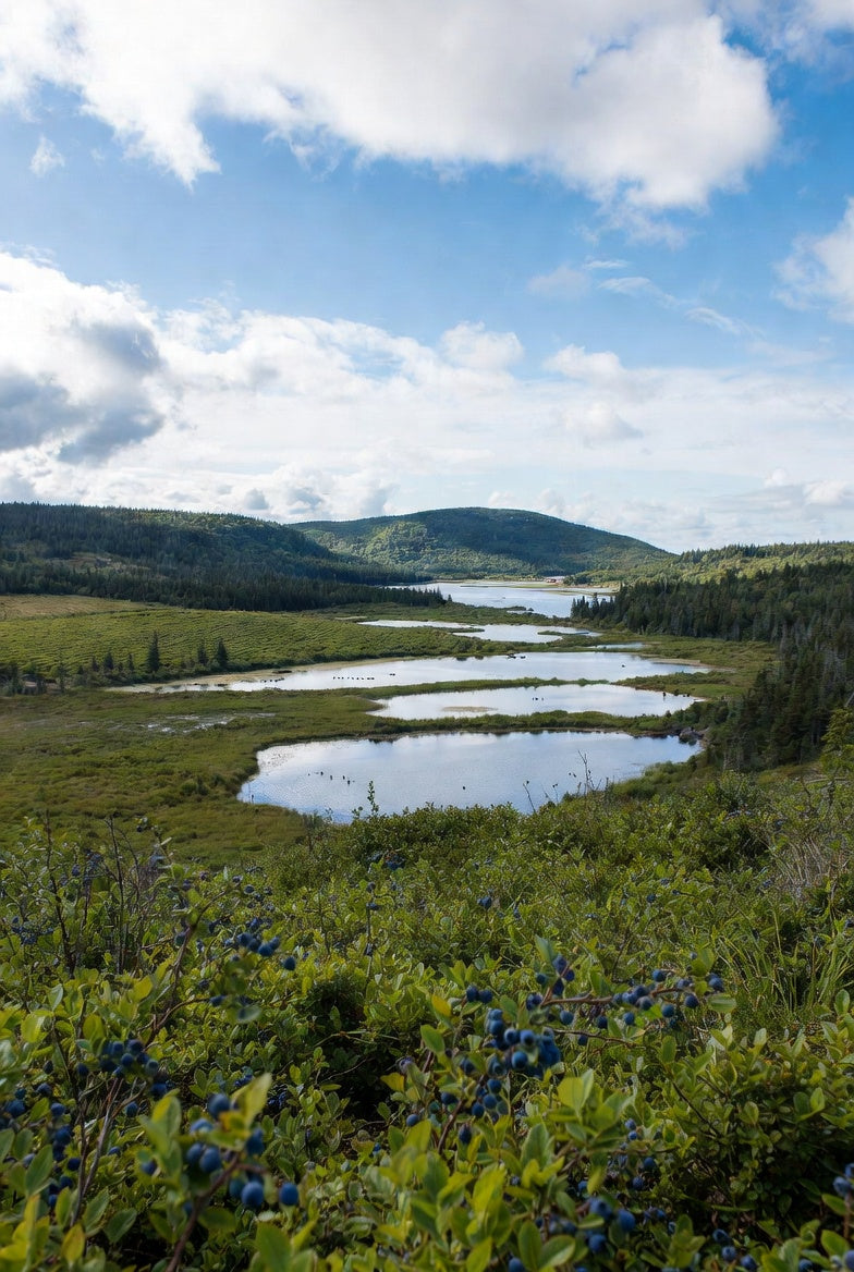 The Other Cape Breton: Secrets of Richmond County and the Framboise Coast